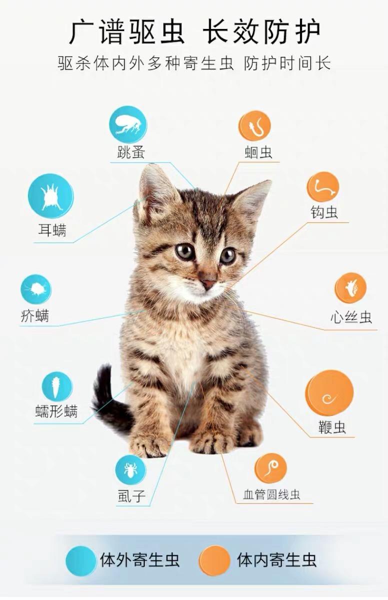 猫猫驱虫那点事 知乎 猫猫驱虫那点事 知乎