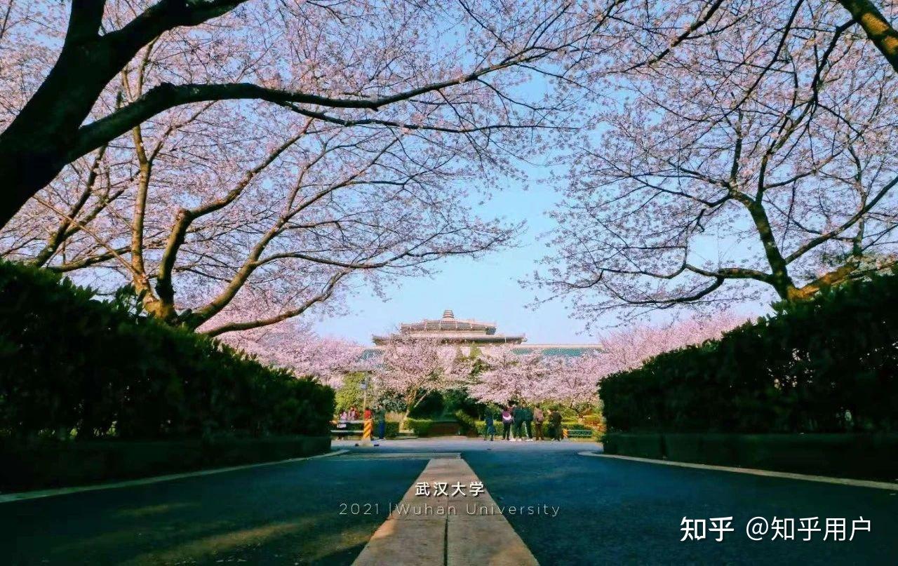 有没有什么武汉大学的壁纸? - 知乎