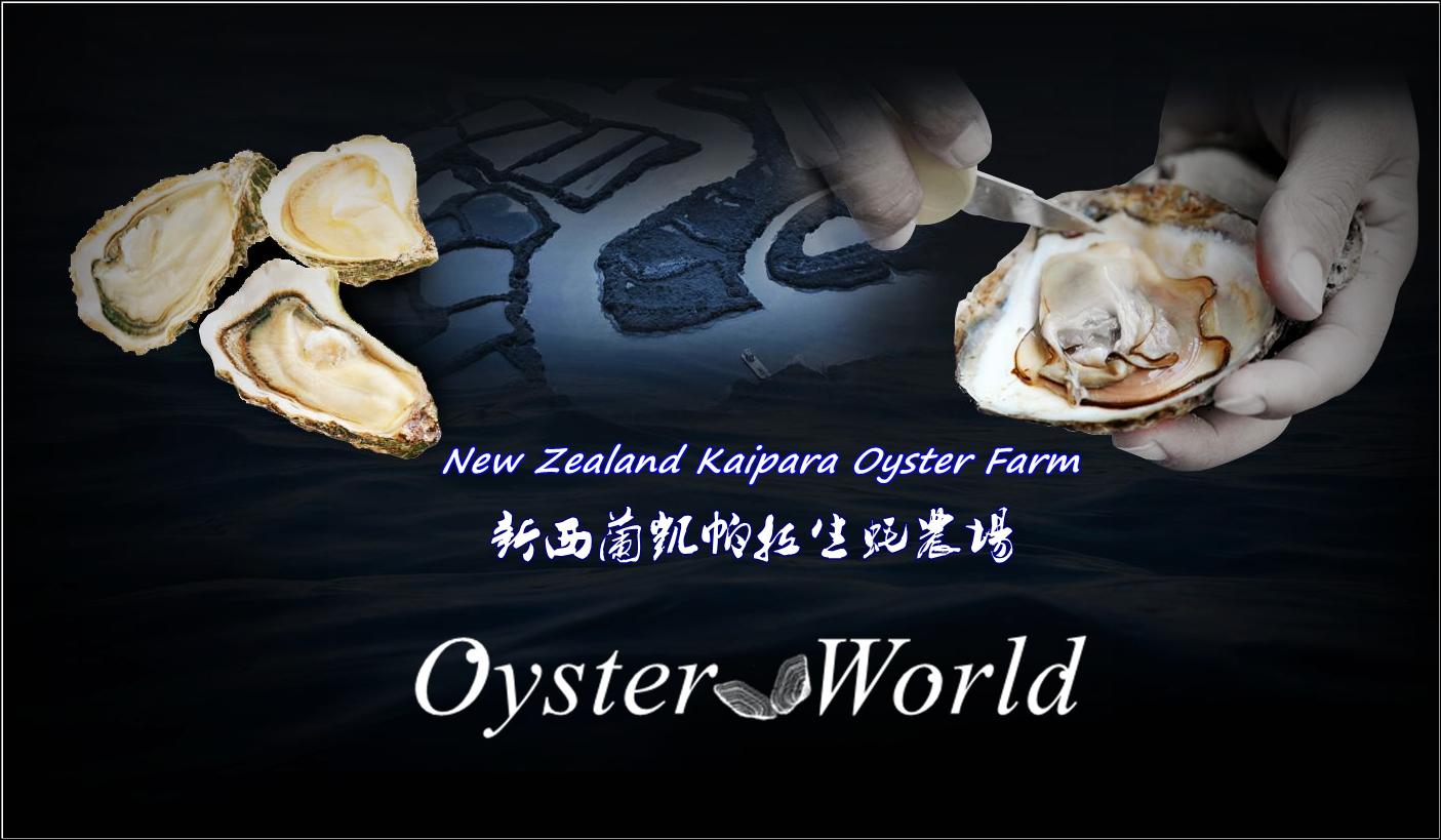 Oyster·World 带您走进了解新西兰的凯帕拉生蚝农场 知乎