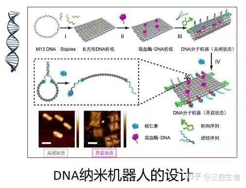 纳米技术有哪些用途（纳米那么“小”，到底能干啥）