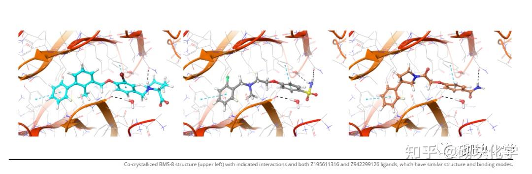 基于药物的设计——高质量分子库的重要性(27)Immuno-Oncology Library - 知乎