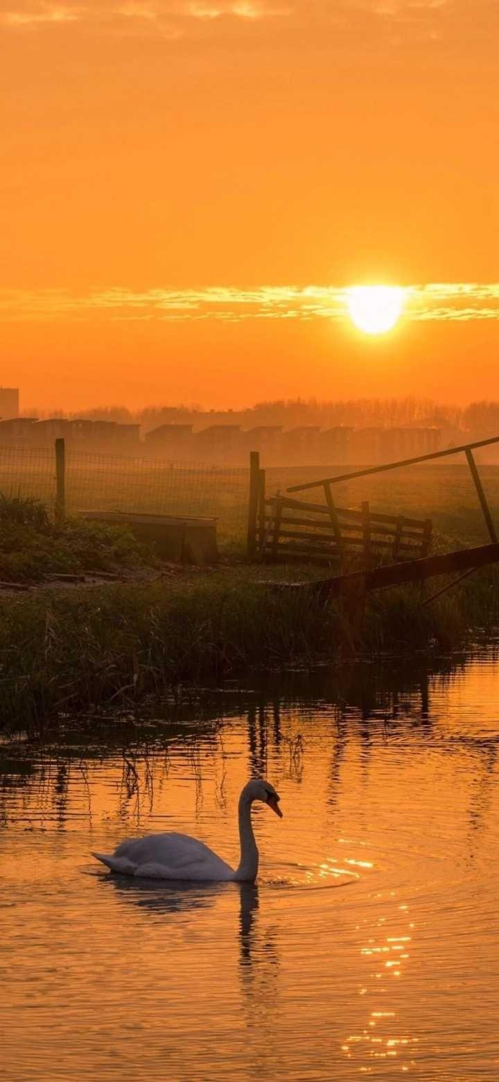 有沒有推薦的夕陽為背景人物背影的好看壁紙