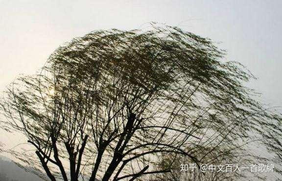 八月秋高风怒号,卷我屋上三重茅.