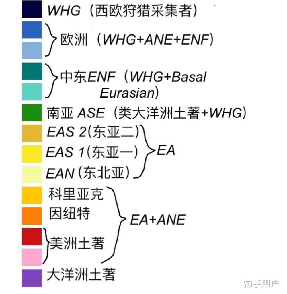 广东人是属于东南亚人种还是马来人种还是东亚