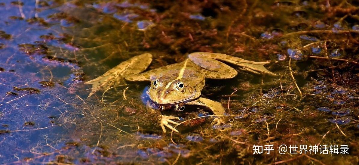 《圣经》中的"十大灾难"指什么? - 知乎