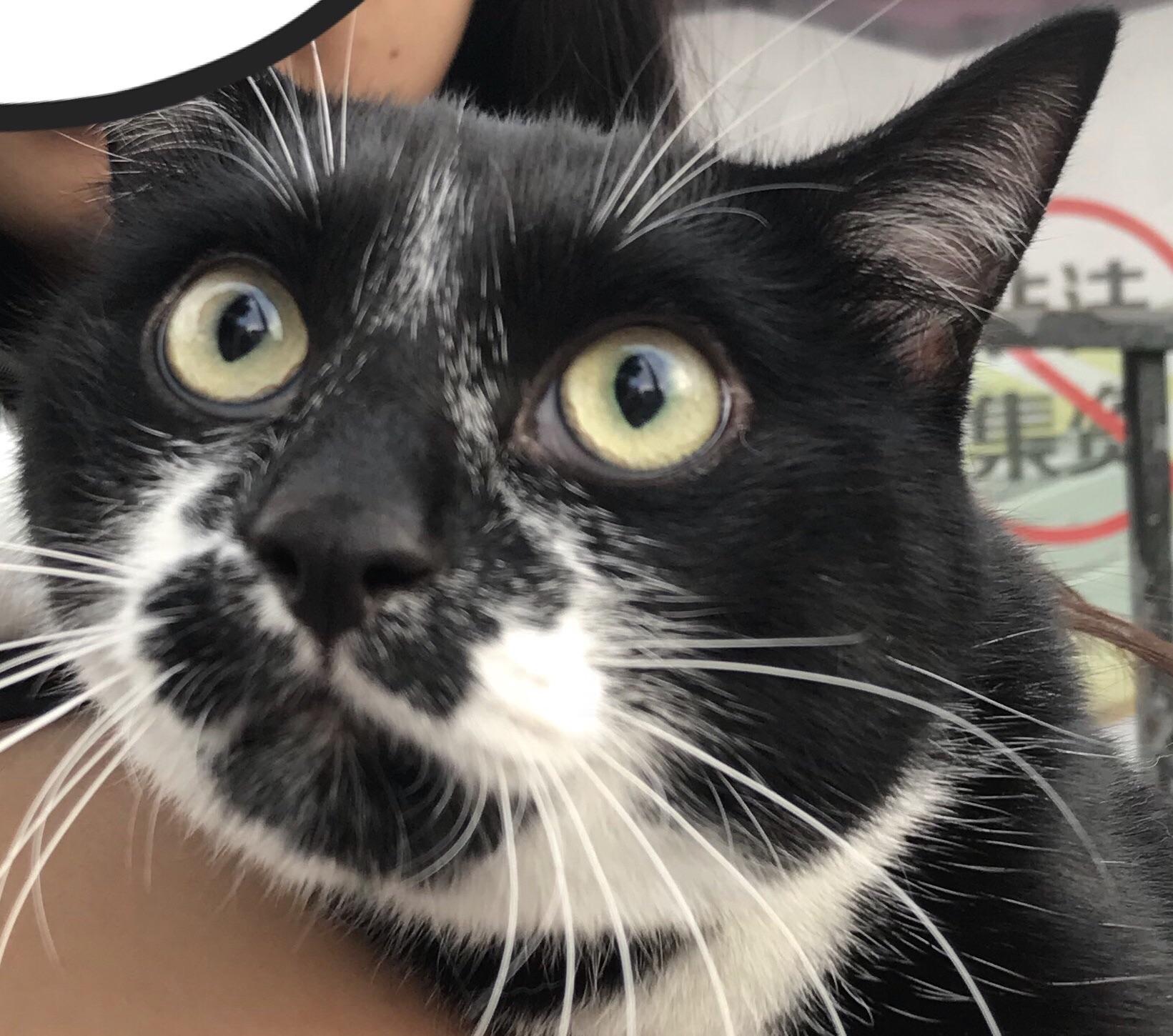 个人税后月薪一万在上海是什么样的体验?