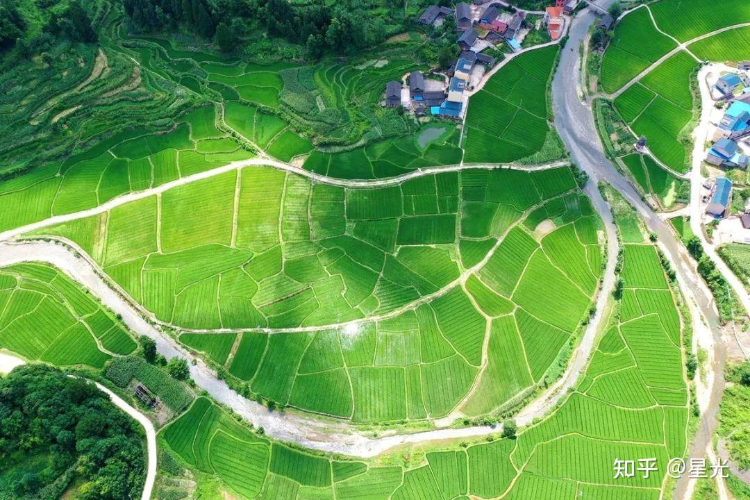 公文写作参考素材xx区农村环境综合整治突破行动工作汇报