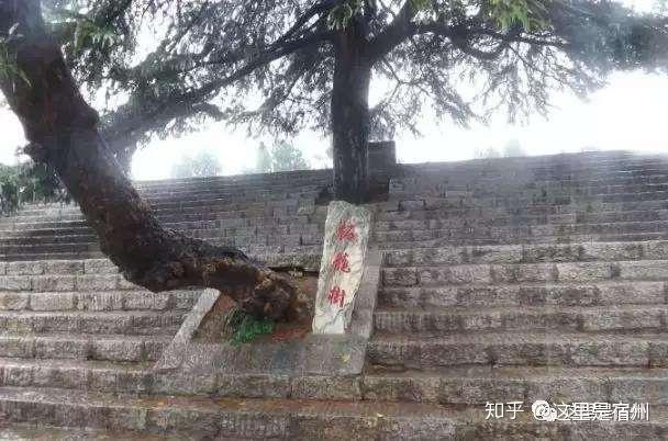 宿国迁于此,和萧国相邻早在西周时期,这里就有宿人的踪迹古台