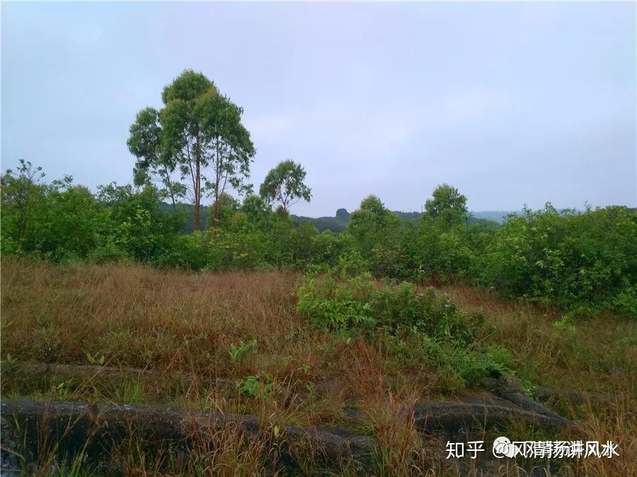 风清扬讲风水廉江千年古坟坐巽山乾向兼巳亥