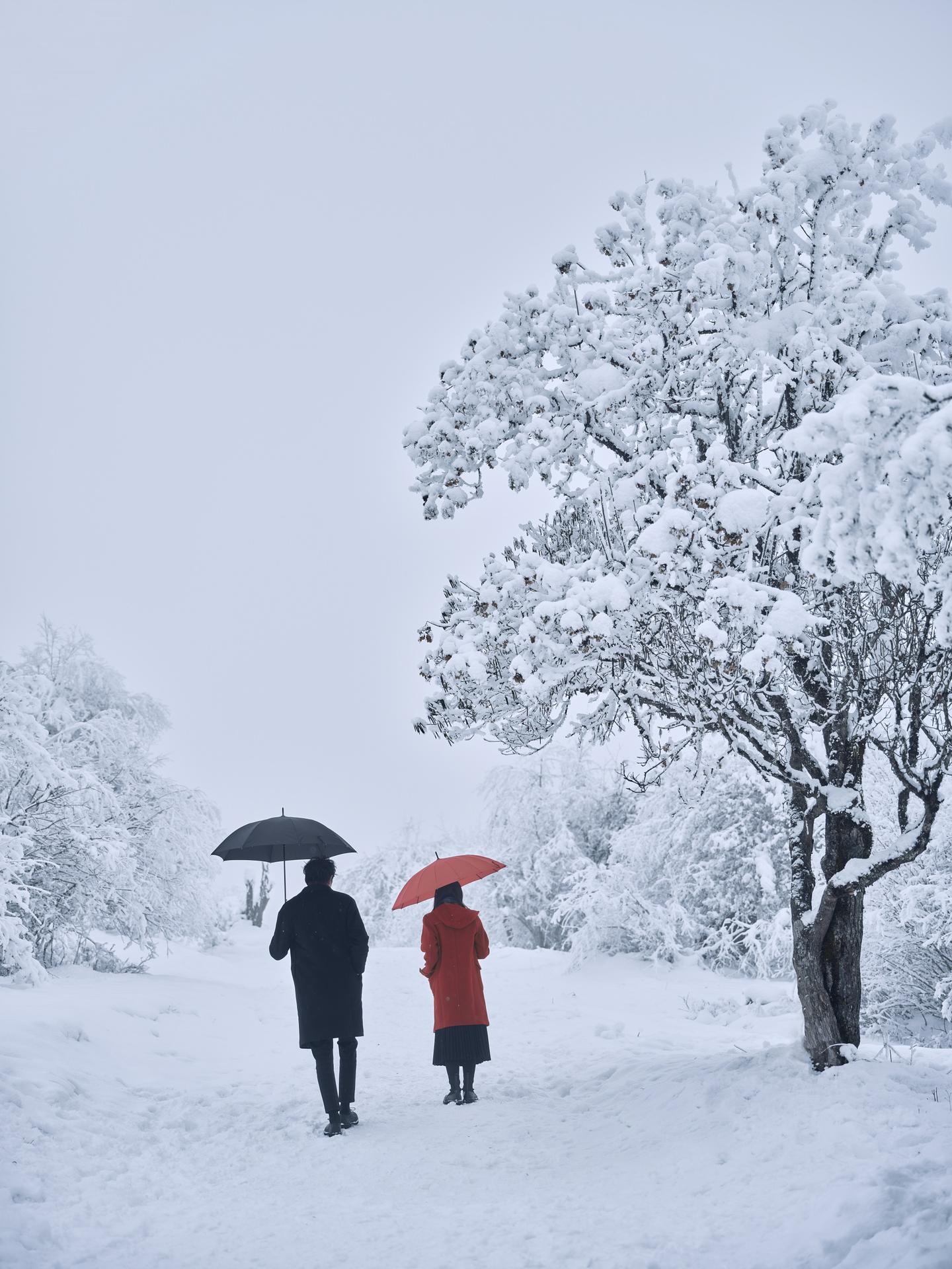 v2-d918ab57907797b6f88603230113e2b8_1440w.jpg?source=172ae18b