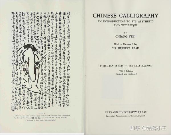 亚裔（华裔）英文作家与其相关作品畅谈 - 知乎