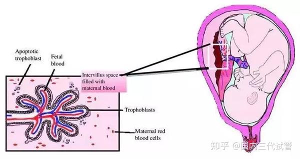 知乎专栏