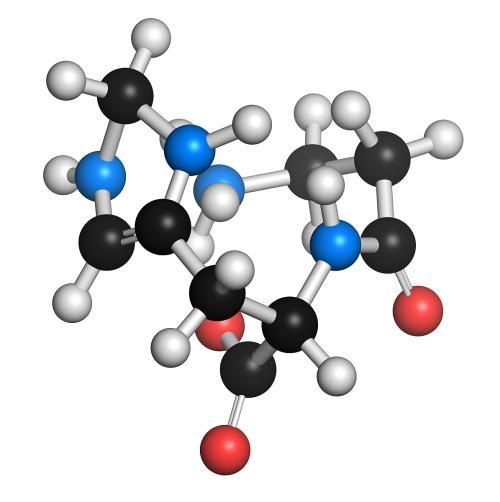 肌肽是一种自然存在于人体的二胜肽,是众所周知的抗糖化活性成分,它能
