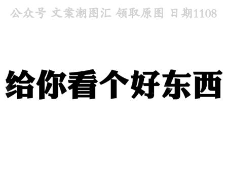 给你看个好东西现在有两只猪对视图片表情包动态聊天抖音热门