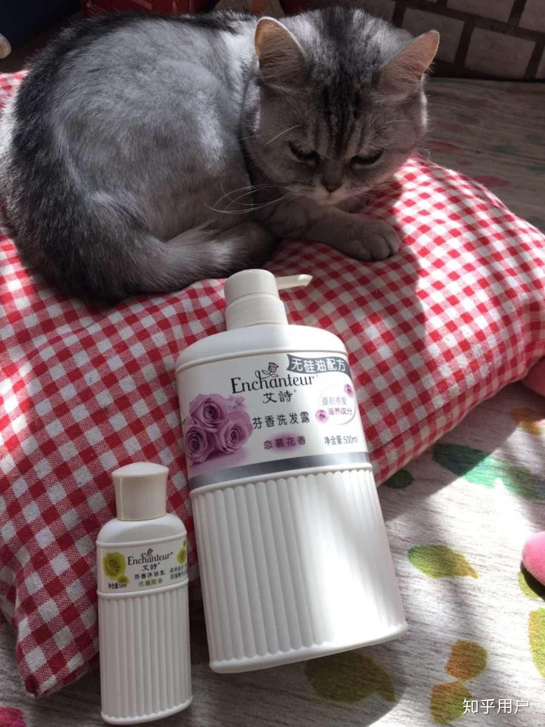 哪一款沐浴洗发露好用?