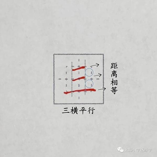 碰的笔顺笔画 永的组词 导的组词