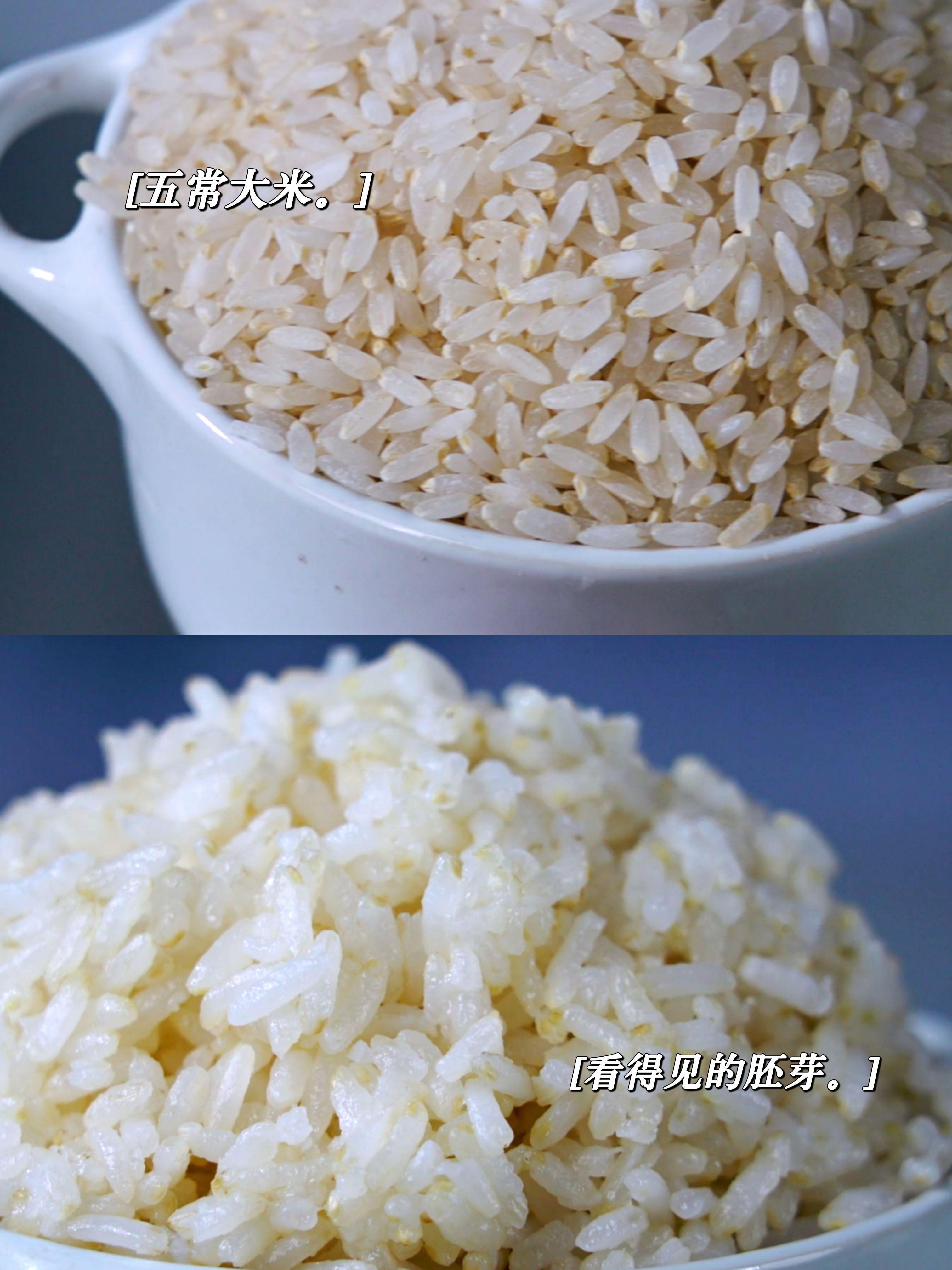 米饭新食代健康新选择圣上壹品有机胚芽米