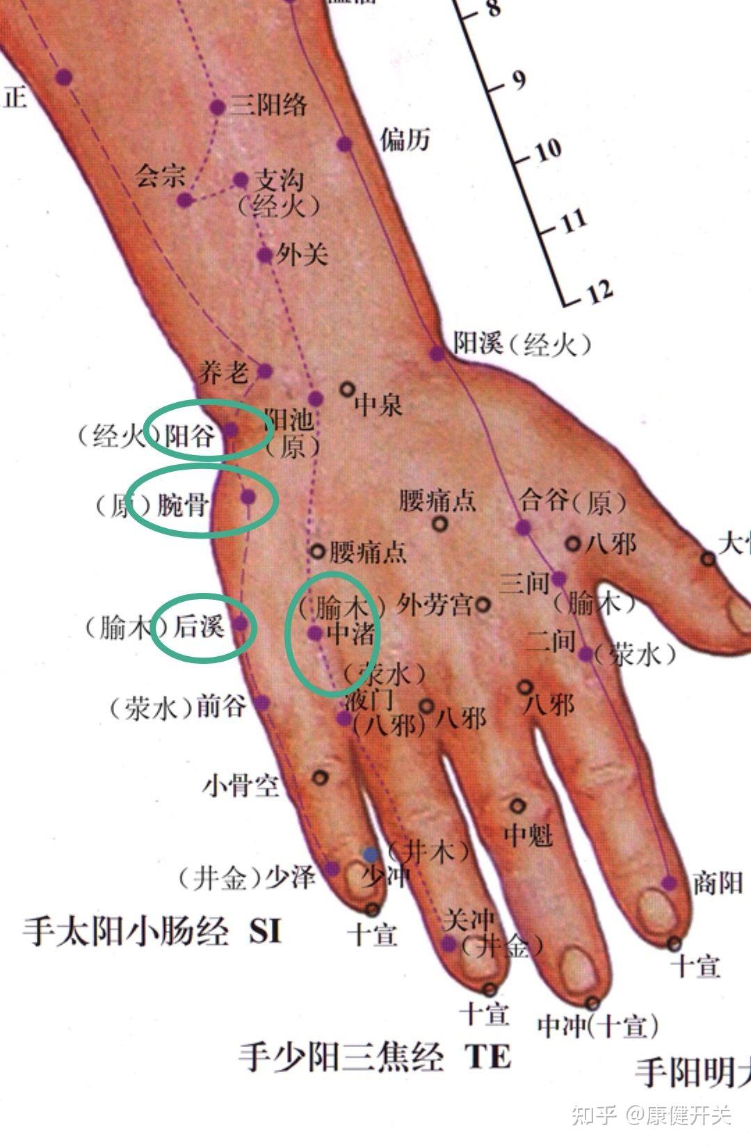 脖子及头后部筋疼痛如何自己按揉解决