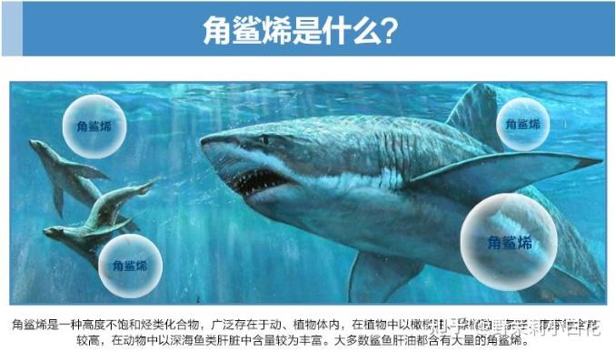 角鲨烯——神奇的功效你可能根本不知道! - 知乎