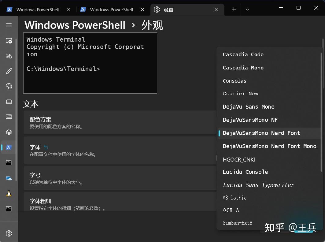  oh my posh windows terminal 