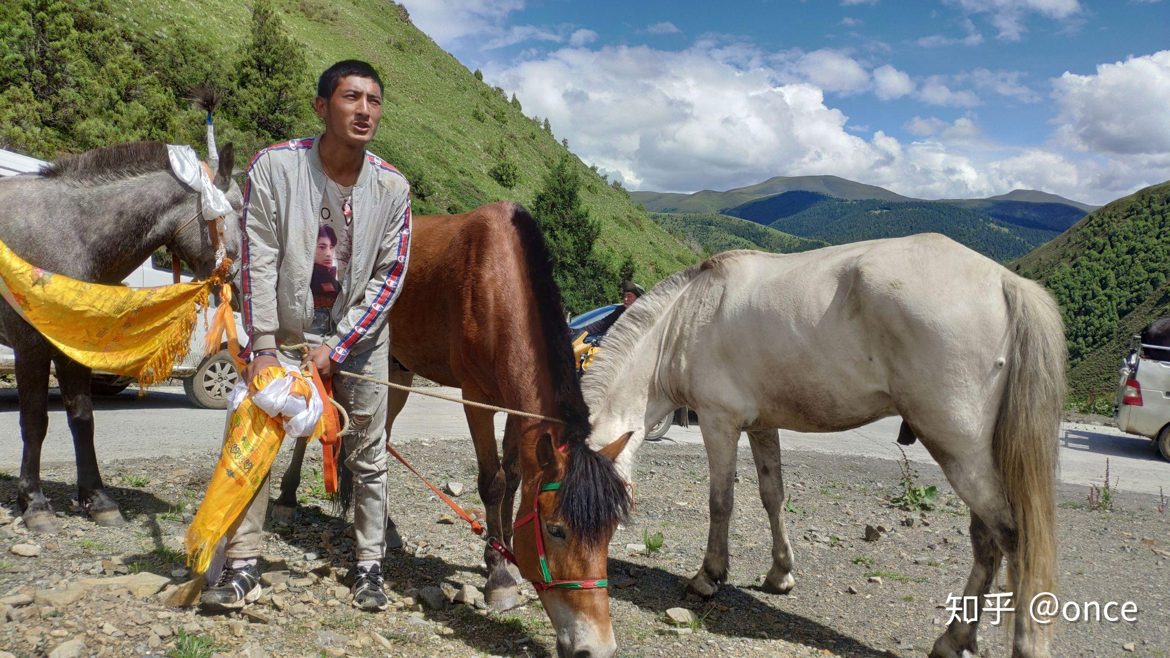 如何看待康巴汉子丁真为家乡四川理塘拍摄的旅游宣传片