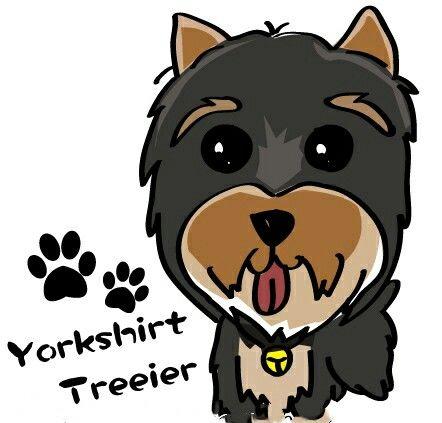 每日一宠约克夏梗