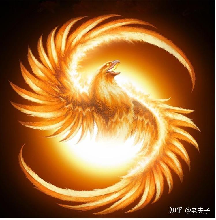 中国的凤凰崇拜及风俗 - 知乎