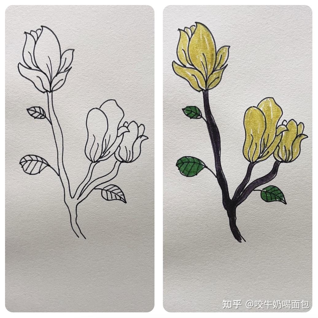 莫负好春光～一学就会的花草简笔画