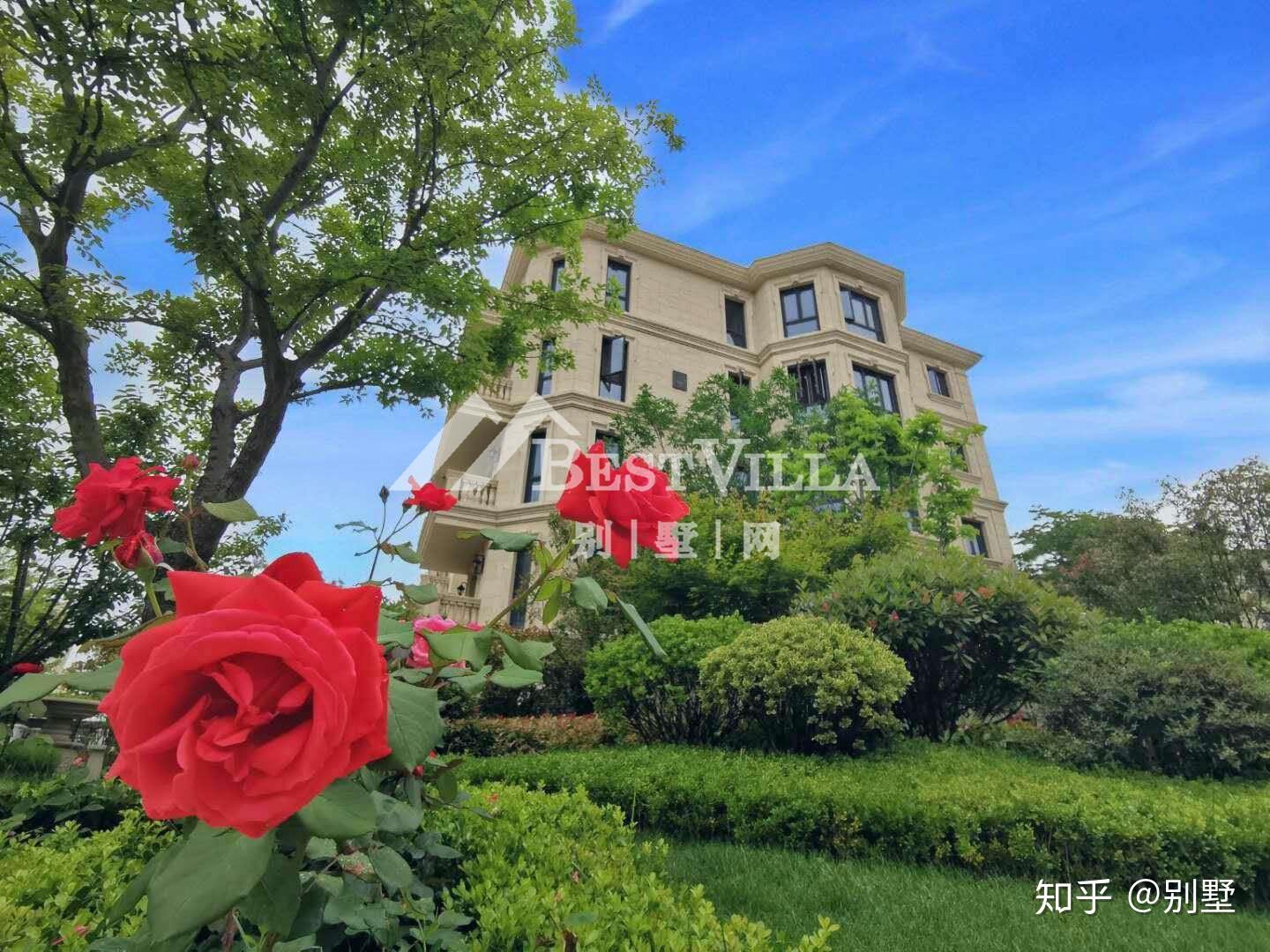 青岛市南区第一豪宅,莱阳路8号,以65席纯正红屋顶,传承上一个百年,启幕下一个百年 - 知乎