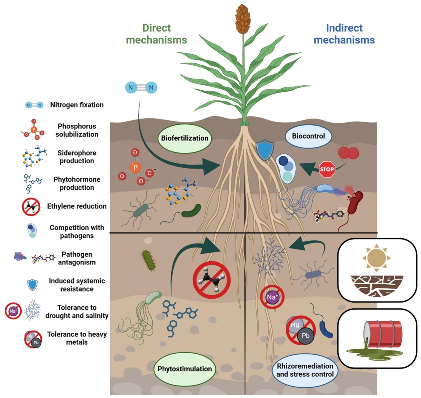 Microbiome | 新兴作物与植物促生菌(PGPB):构建气候韧性农业的协同策略 - 知乎