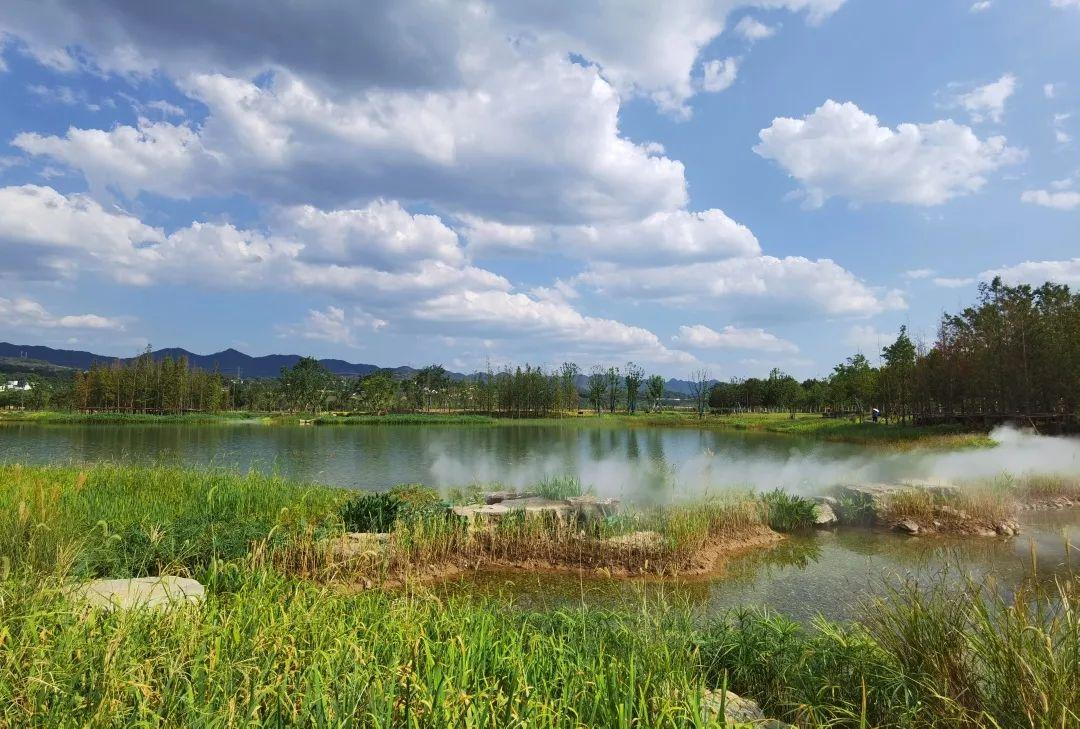 重庆市广阳岛湿地公园图片