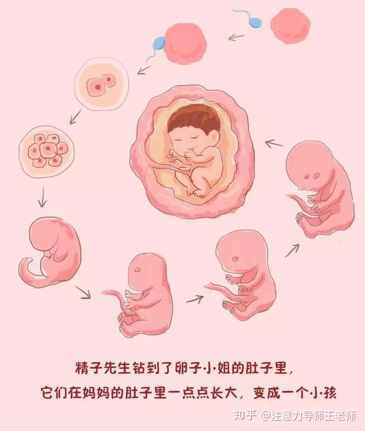 8岁女孩遭性侵死亡妈妈你忘了告诉我世界上有恶魔