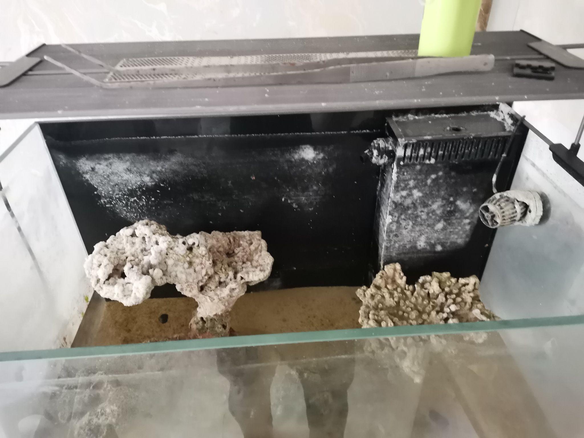 什么样才需要扩缸 v2-d9d1abc1dd6f61090195ccae90156fdd_r.jpg