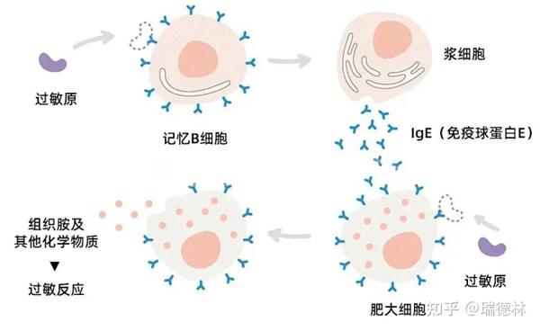 健康百科丨NONONO!春敏≠过敏! - 知乎