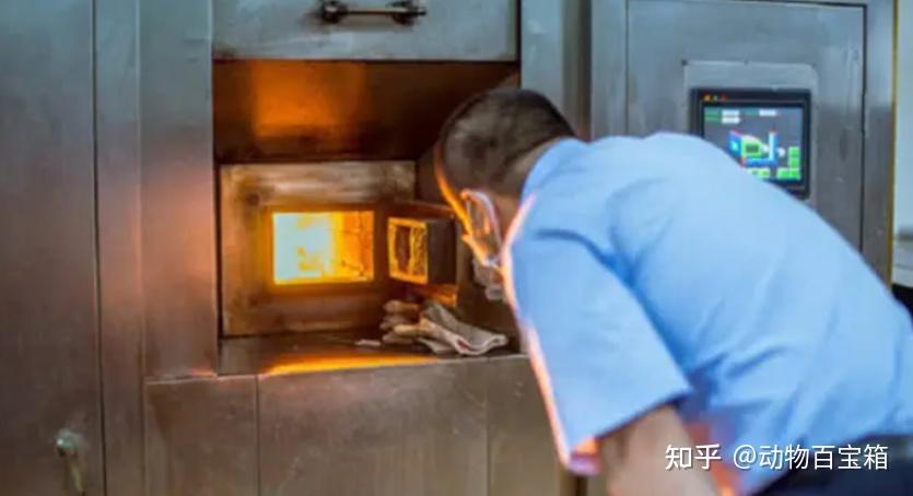 为什么遗体火化时,火葬场禁止家属参观?里面藏着什么秘密吗? - 知乎