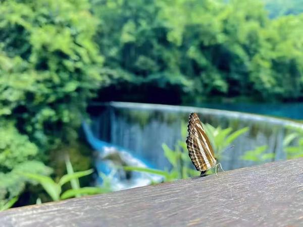 让你一次性追剧到爽