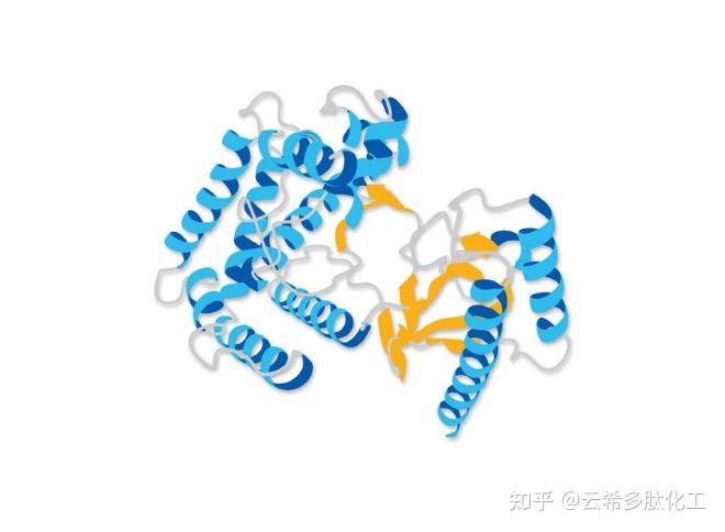 鲑鱼降钙素/Salmon calcitonin(sCT),是人体降钙素的类似物质 - 知乎