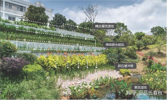 海绵城市干货│不止管理雨水这个海绵公园的功能有点多
