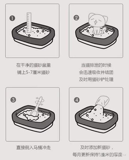 【猫砂攻略】看这一篇就够了
