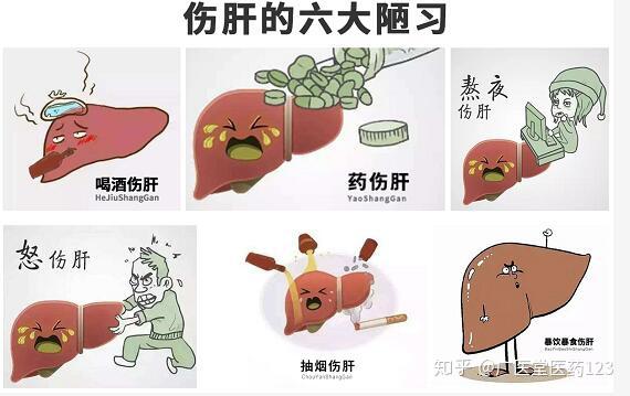 伤肝的六大恶习你中招了吗