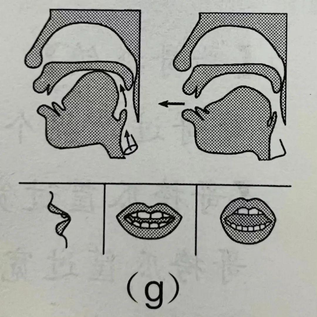 j发音图解舌位图图片