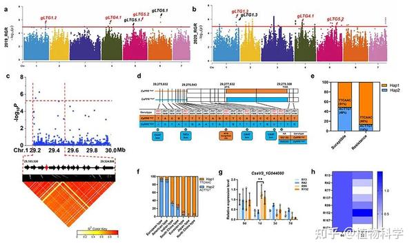 Frontiers In Plant Science Frontiers In Plant Science