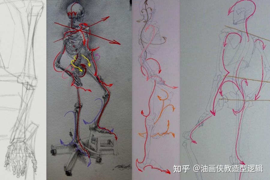 藝術解剖學的本質絕不止畫出哪塊肌肉在哪個位置而已.