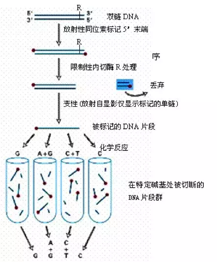 知乎专栏