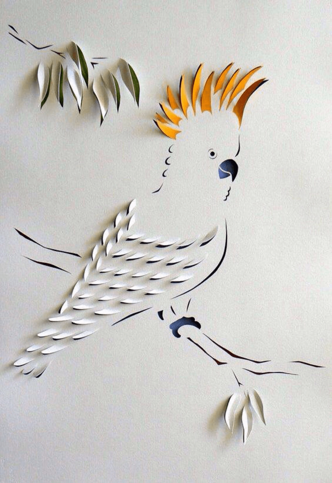 重新认识传统纸艺在历史,文化,艺术,情感等方面的独特价值,以多样的