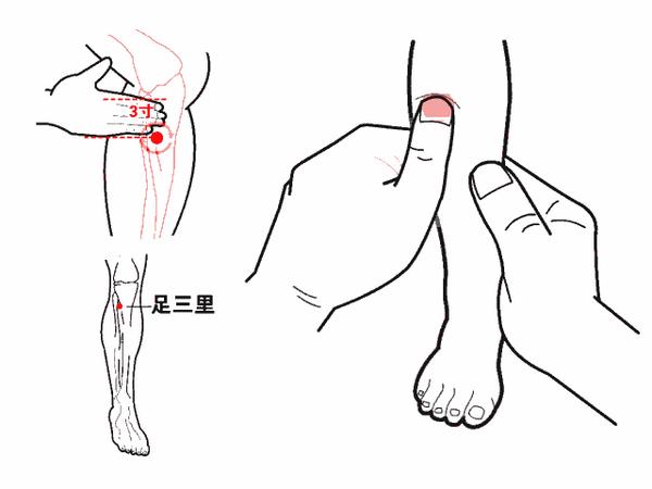 膝盖眼的位置图图片