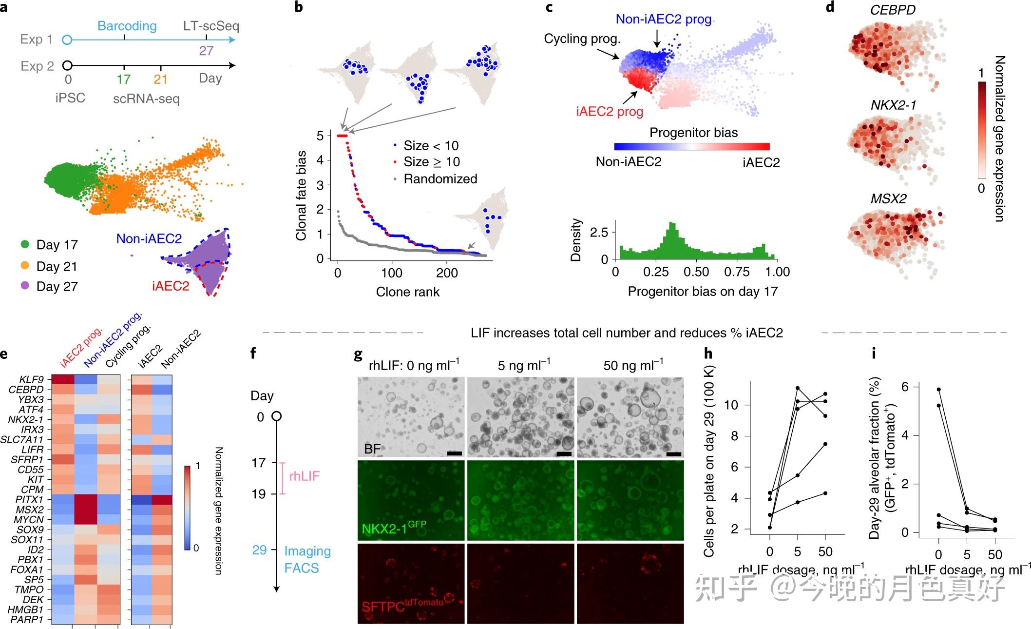 cospar-identifies-early-cell-fate-biases-from-single-cell