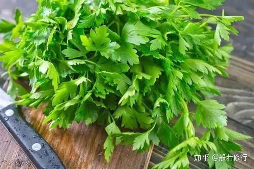 佛弟子到底能不能吃香菜终于有答案了