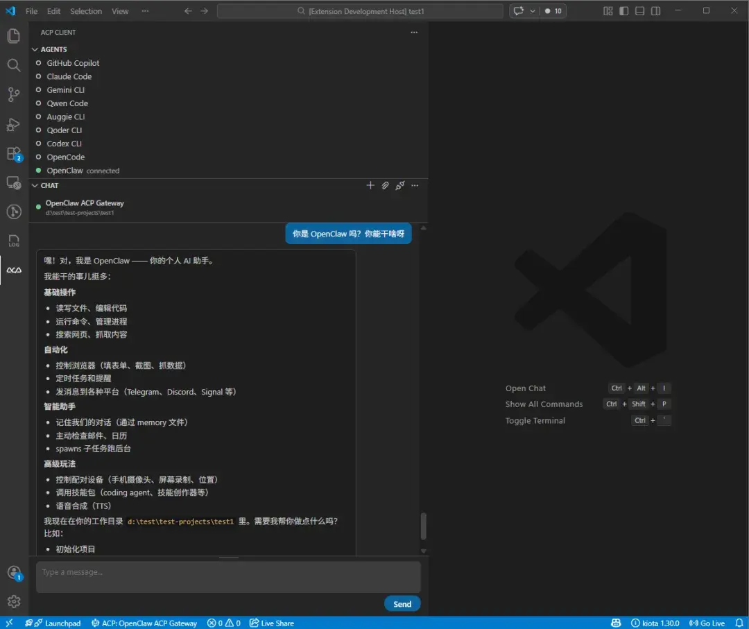 在 VS Code 中运行 OpenClaw