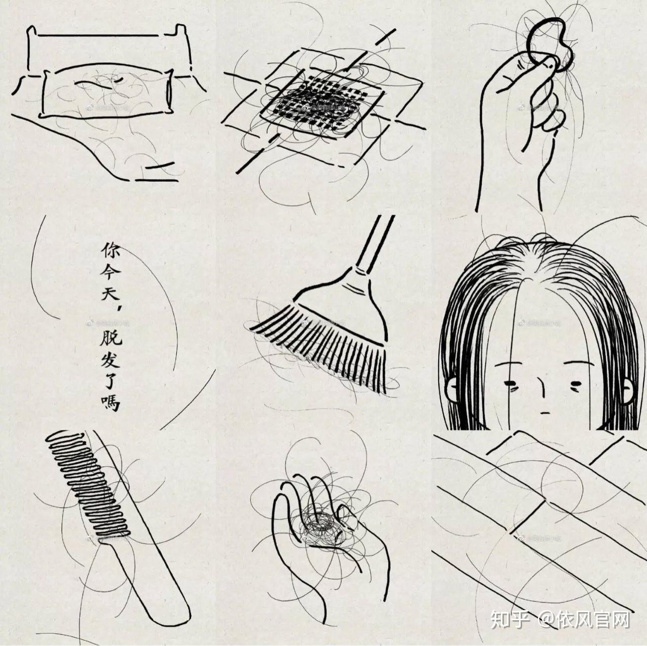 8个养发小秘诀,科学的养发护发 - 知乎